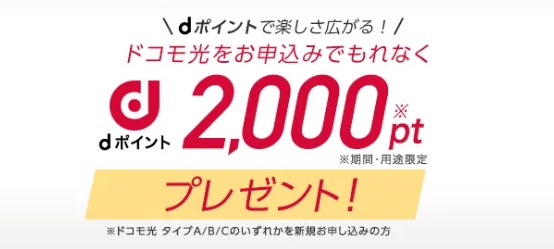 dポイントプレゼント特典（2,000pt）