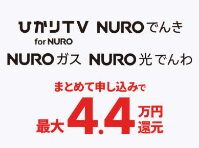 オプション申し込みで4.4万円還元
