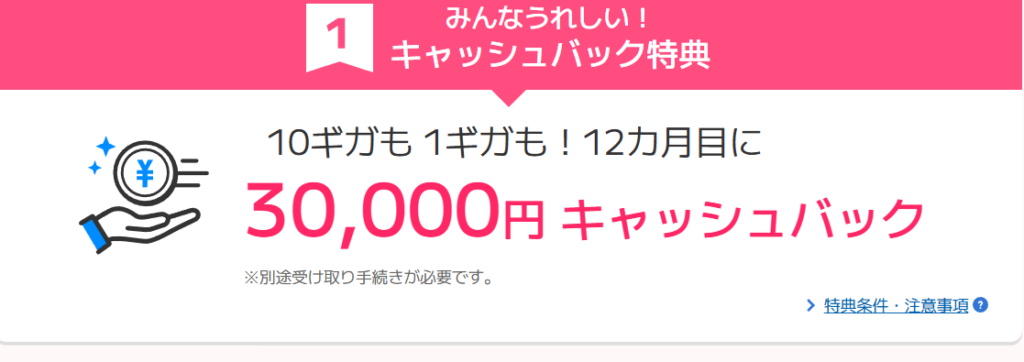 ビッグローブ光　キャッシュバック
